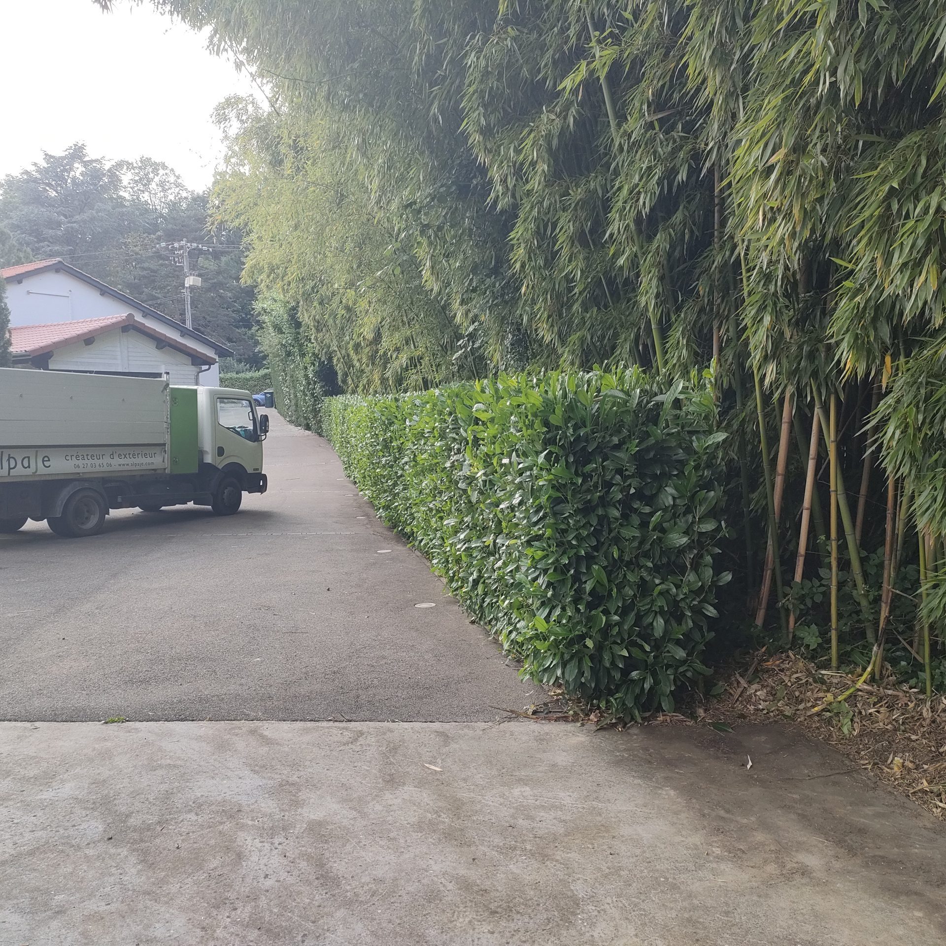 Entretien de jardin