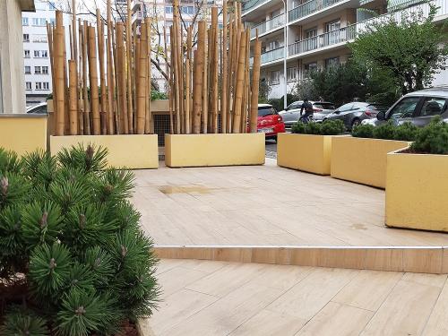 Terrasse de bureau sur la voie publique, jardinières béton, pins "Mops", brise-vue en cannes de bambous